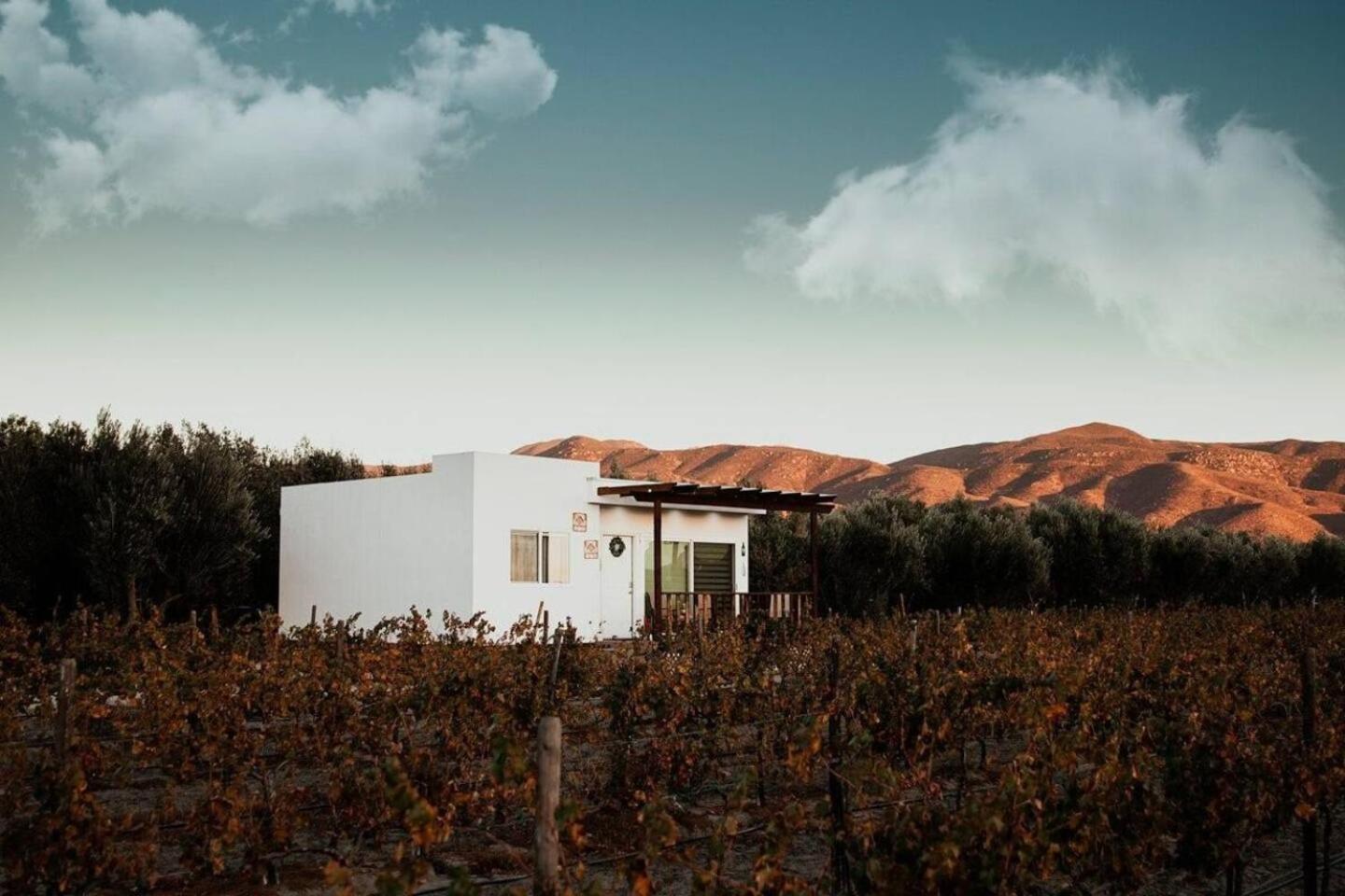 Casa Colibri Guadalupe Valley Екстер'єр фото